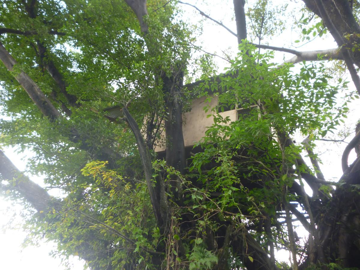 Castle Tree House And Bungalow White Sands Zewnętrze zdjęcie